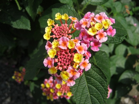 0923-4.jpg