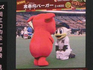 lotte25-19.JPG