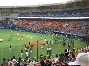 lotte36-4.jpg