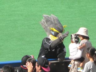lotte41-6.jpg