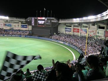 lotte42-6.jpg