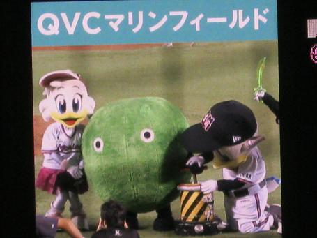 lotte49-25.jpg