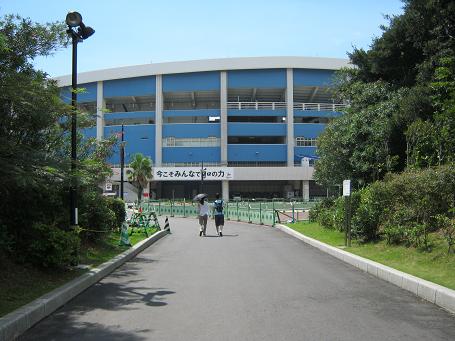 lotte51-5.jpg